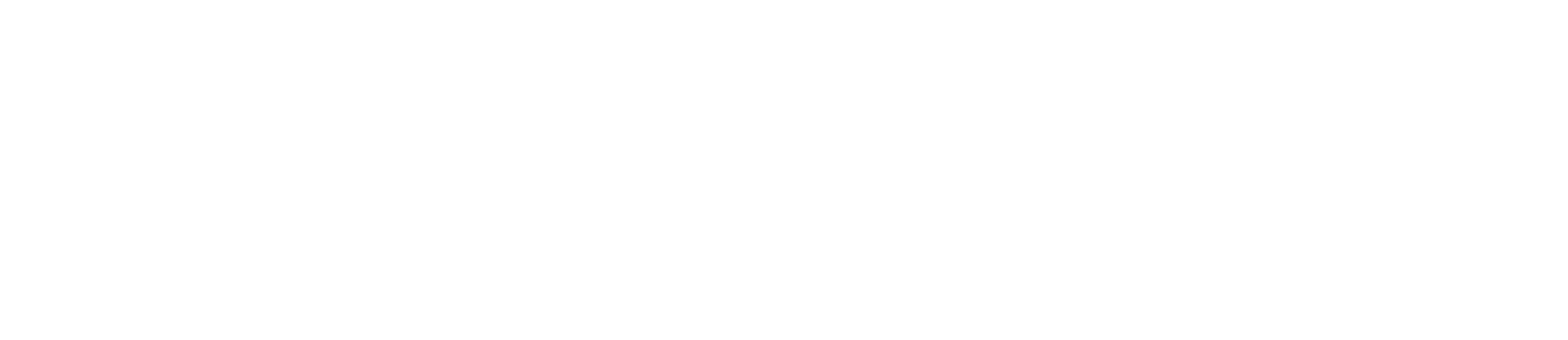 Veganashi